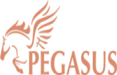 PEGASUS PEGASUS
